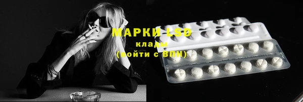 мяу мяу мука Мегион